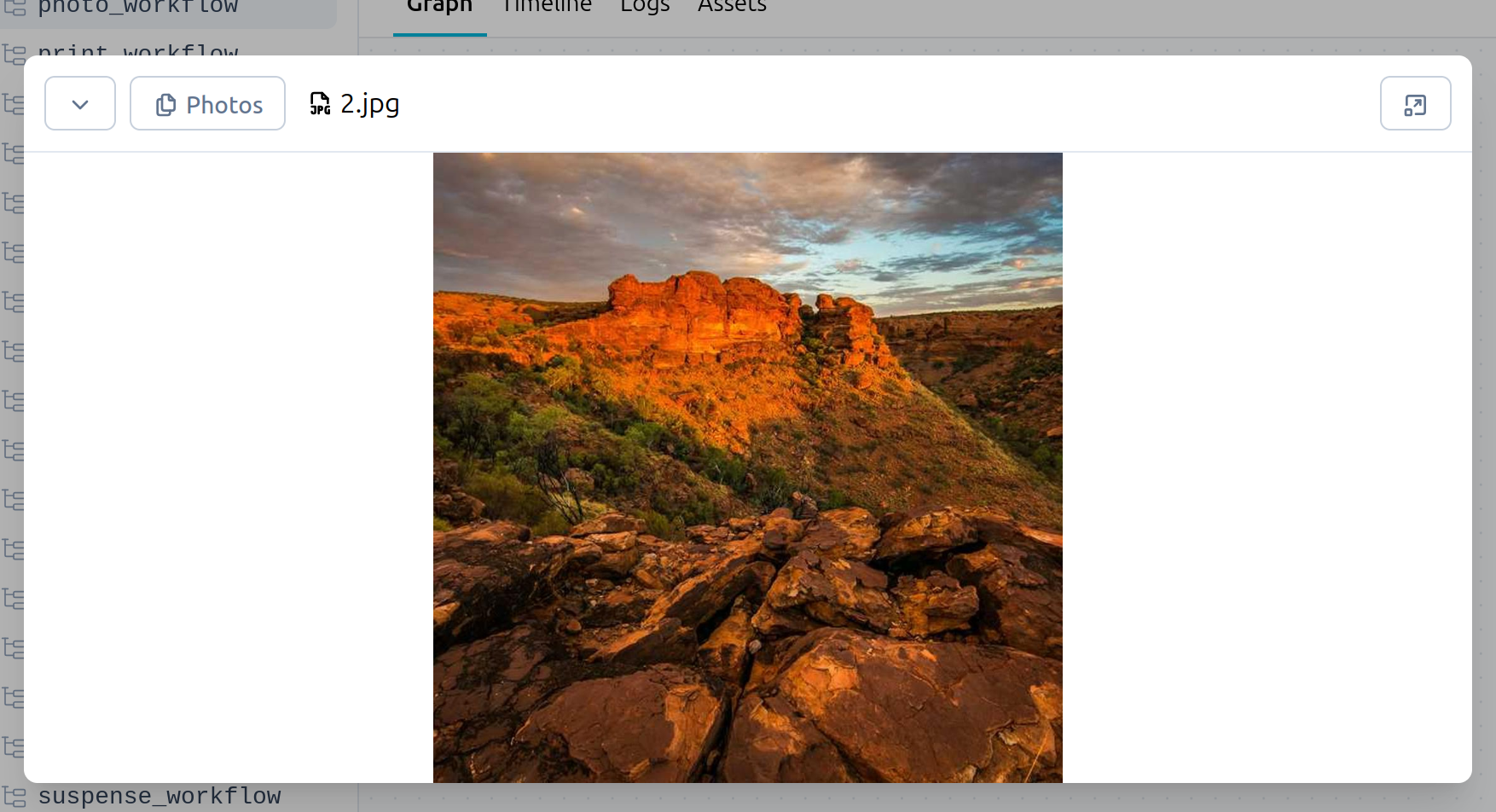 A preview of an image in an asset